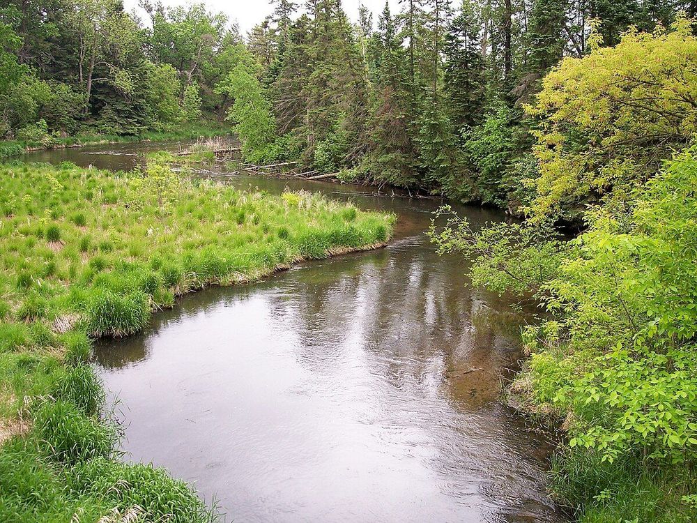 The Straight River as viewed from Township Road 2 in Straight River Township, Minnesota. Image credit: Tim Kiser/Wikimedia Commons. 