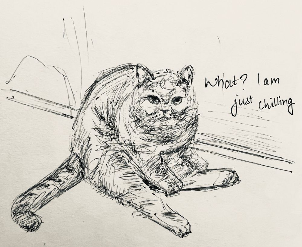 Cat sketch funny