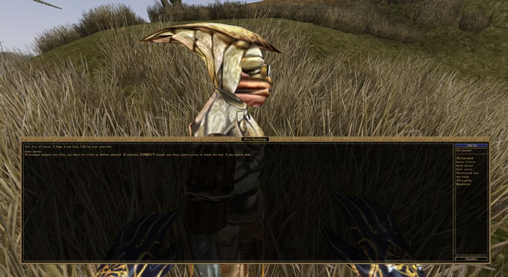 Morrowind NPC Shin Assemmus saying "if someone attacks you first, you have the right to defend yourself, if someone DOESN'T attack you first, you're going to break the law if you attack him"