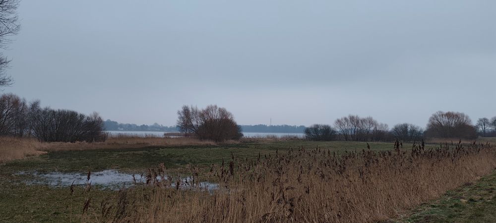 waterlogged fields with marshlands in the distance.