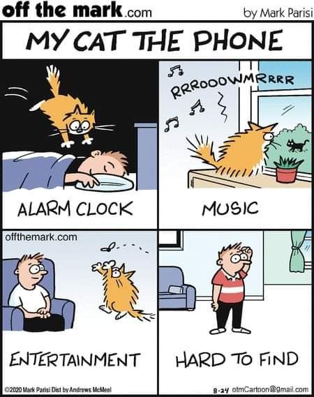 4 cat cartoons: left top shows: cat jumping on the human - Alarm Clock 
right top: cat sitting in the window meowing - Music
left bottom: man sitting in chair smiling while cat chase's fly - Entertainment right bottom: man standing in the middle of a room looking: Hard to find.😸