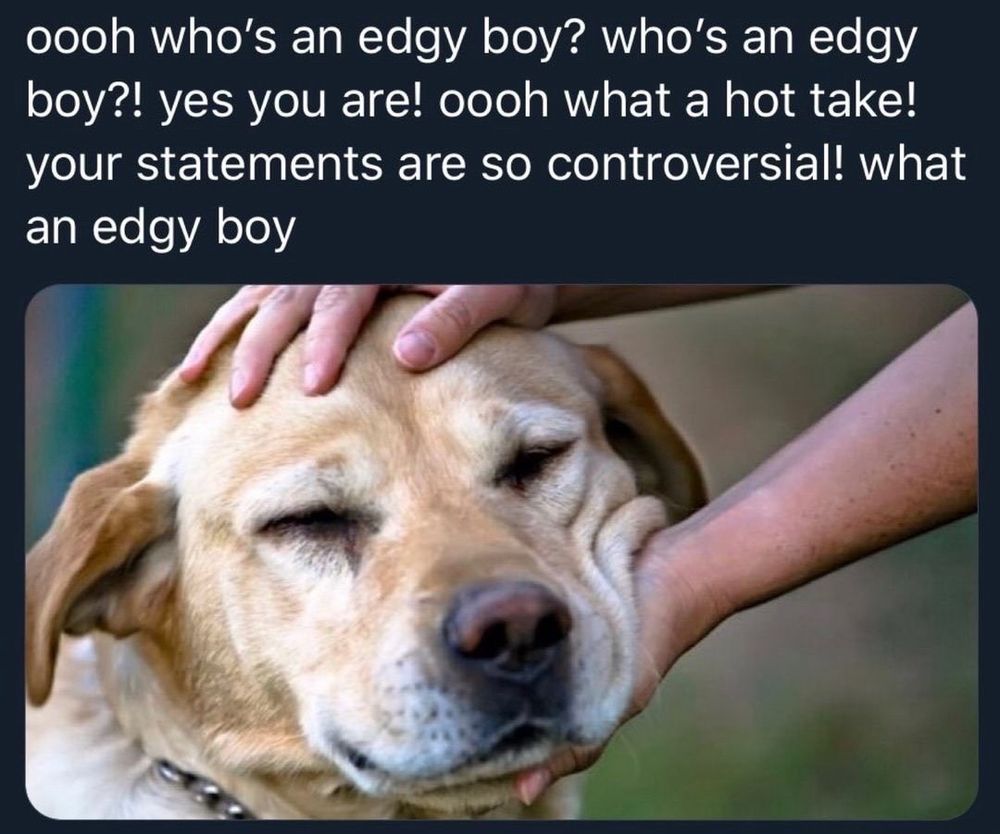 A dog being petted with someone saying “who’s an edgy boy? Who’s got the edgiest hot takes? Is it you?”