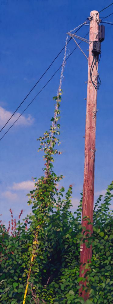 Of hops growing up a telegraph wire 