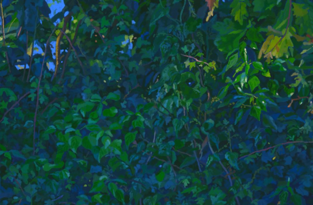 Of a hedge 