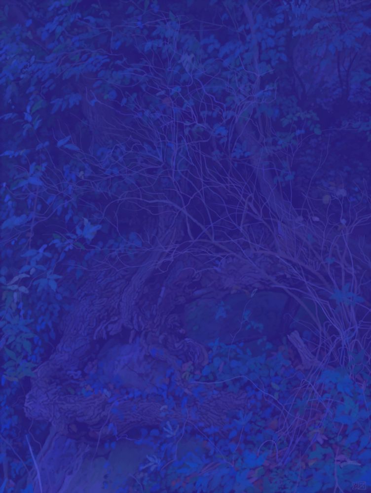 Of an ash tree at night 