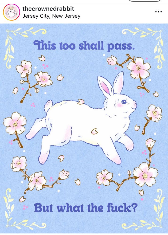 IG: thecrownedrabbit