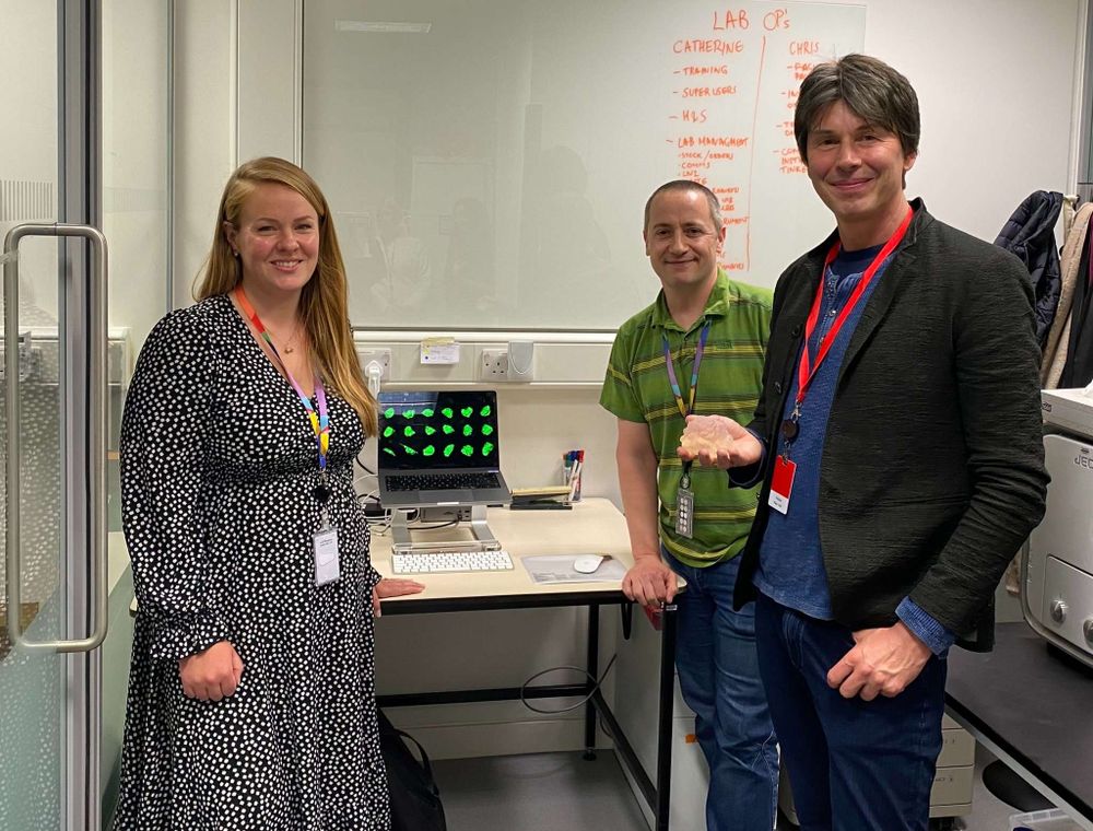 Professor Brian Cox holding a 3D printed nucleus, created by volunteers via a citizen science project called Etch a Cell. Next to him are two of the researchers that worked on the project, one female, one male.