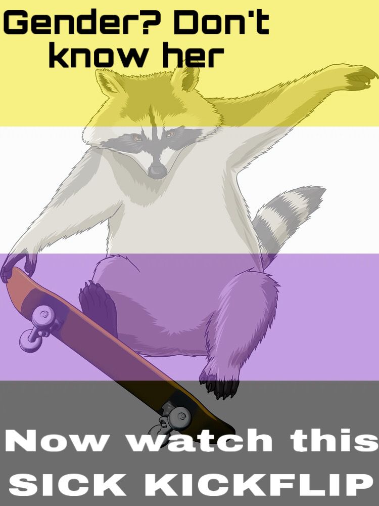 A raccoon skateboarding with the non-binary flag superimposed over it. The text reads “gender? Don’t know her, now watch this SICK KICKFLIP”

Image source is alwe-designs on Redbubble