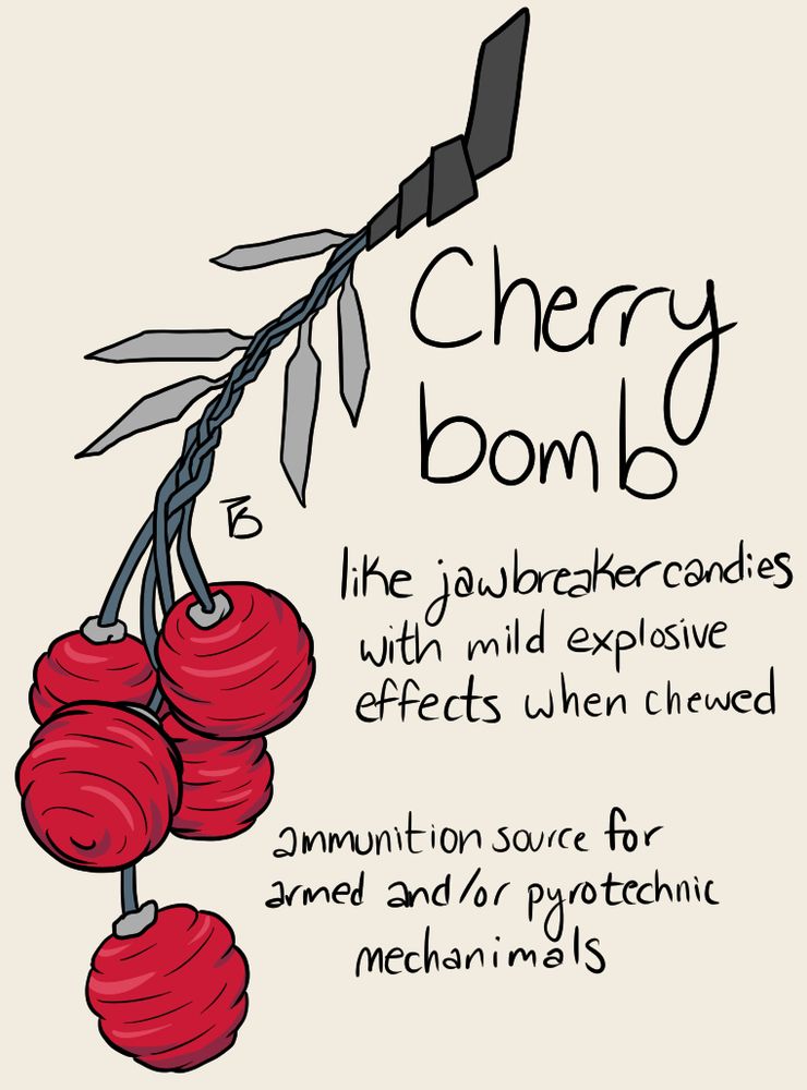 drawing of cherry bombs, firecracker fruits growing in clusters on their fuses