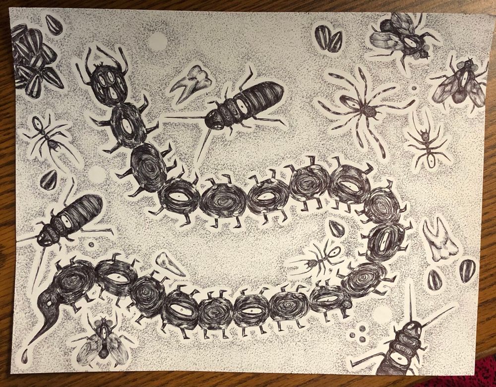 The full drawing of a centipede surrounded by flies, cockroaches, ants, teeth, and sunflower seeds