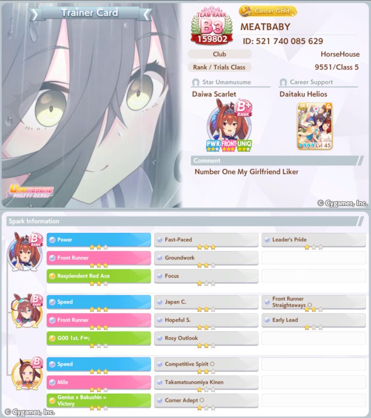 A 'trainer card' in the videogame Uma Musume, demonstrating many of my cool abilities on offer. Hard to explain unless you've played the videogame. It's a solid 7/10 card. He's not so bad. And he's nice!