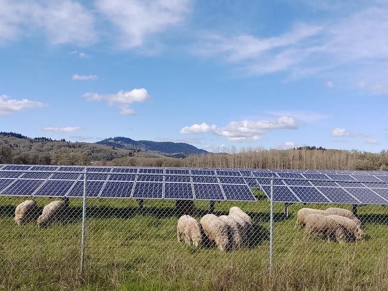 A study from Portland State University found federal investments in Oregon’s rural and economically stressed counties doubled since 2010.