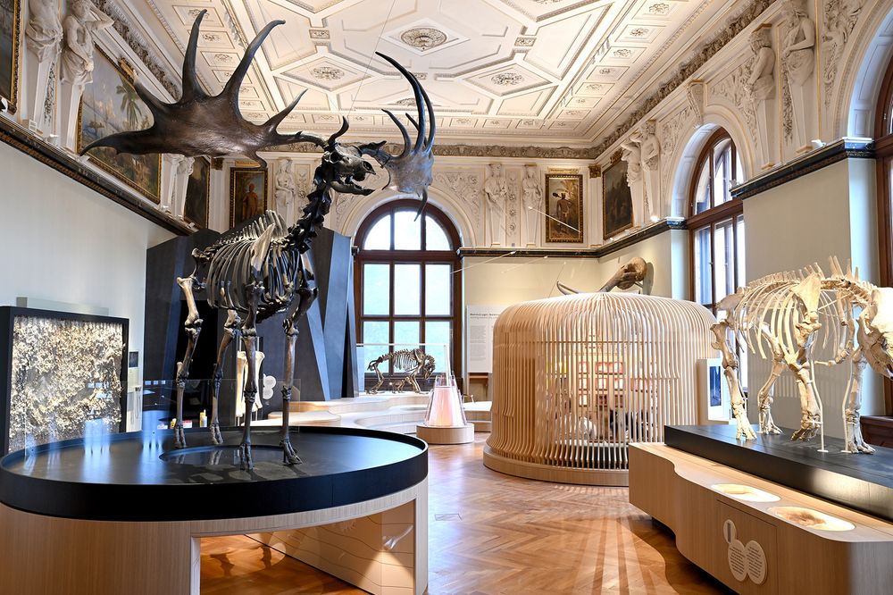 Der neue Saal "Eiszeitkinder und ihre Welt" im NHM Wien. Der Saal ist als Ort für alle Generationen konzipiert. Erlebbares und Erfahrbares laden zur spielerischen Auseinandersetzung mit dem Thema ein. (c) NHM Wien, Chloe Potter