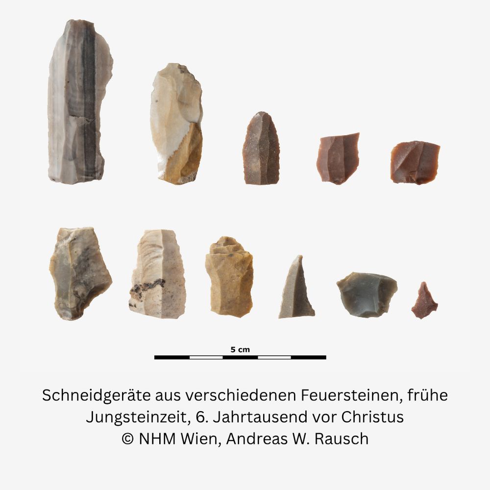 Schneidgeräte aus verschiedenen Feuersteinen, frühe Jungsteinzeit, 6. Jahrtausend vor Christus © NHM Wien/Andreas W. Rausch