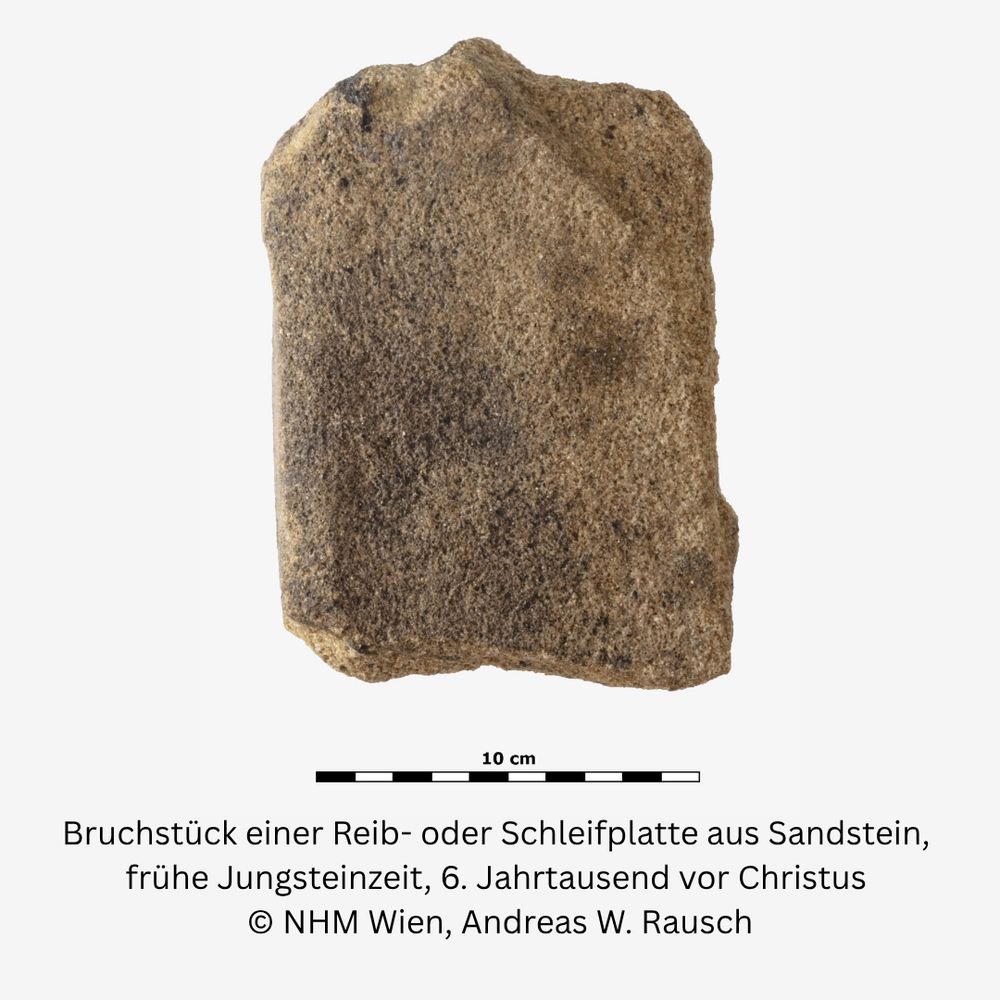 Bruchstück einer Reib- oder Schleifplatte aus Sandstein, frühe Jungsteinzeit, 6. Jahrtausend vor Christus © NHM Wien/Andreas W. Rausch