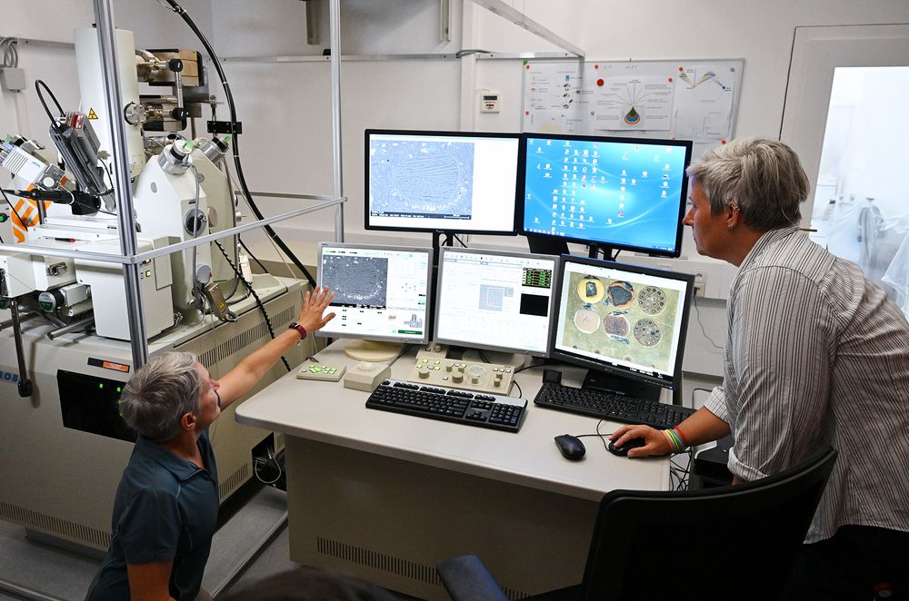 Besuch des Elektronenmikroskopielabors mit Dr. Wencke Wegner,
Operatorin für Mikroanalytik, Zentrale Forschungslaboratorien, NHM Wien (c) NHM Wien, Chloe Potter