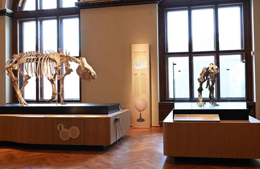 Der neue Saal "Eiszeitkinder und ihre Welt" im NHM Wien. Der Saal ist als Ort für alle Generationen konzipiert. Erlebbares und Erfahrbares laden zur spielerischen Auseinandersetzung mit dem Thema ein.  (c) NHM Wien, Chloe Potter