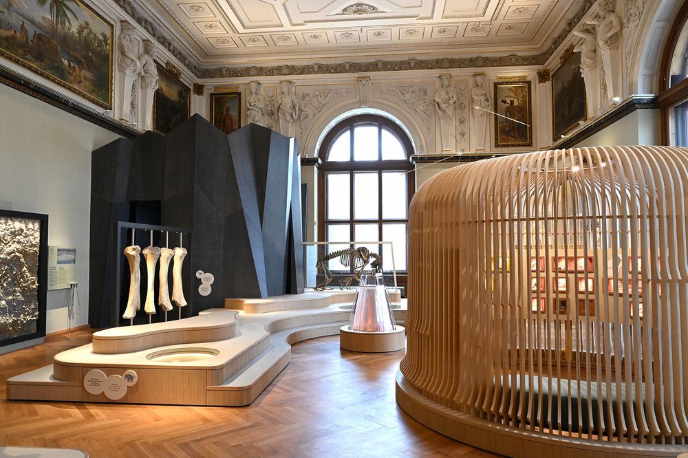 Der neue Saal "Eiszeitkinder und ihre Welt" im NHM Wien. Der Saal ist als Ort für alle Generationen konzipiert. Erlebbares und Erfahrbares laden zur spielerischen Auseinandersetzung mit dem Thema ein. (c) NHM Wien, Chloe Potter