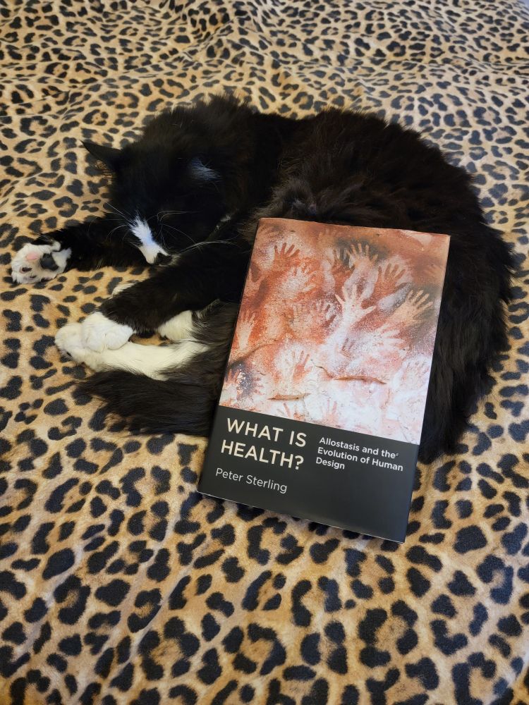 "What Is Health? Allostasis and the Evolution of Human Design", resting on Noodle, a tuxedo longhair, himself resting deeply on a leopard bedsheet. 