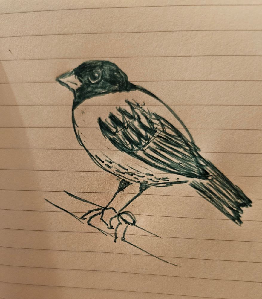 A quick sketch of a small bird done in green pen on a lined notebook page. It looks somewhat like a dark-eyed junco, perched on a branch and facing left like most of the OP's other sketches.