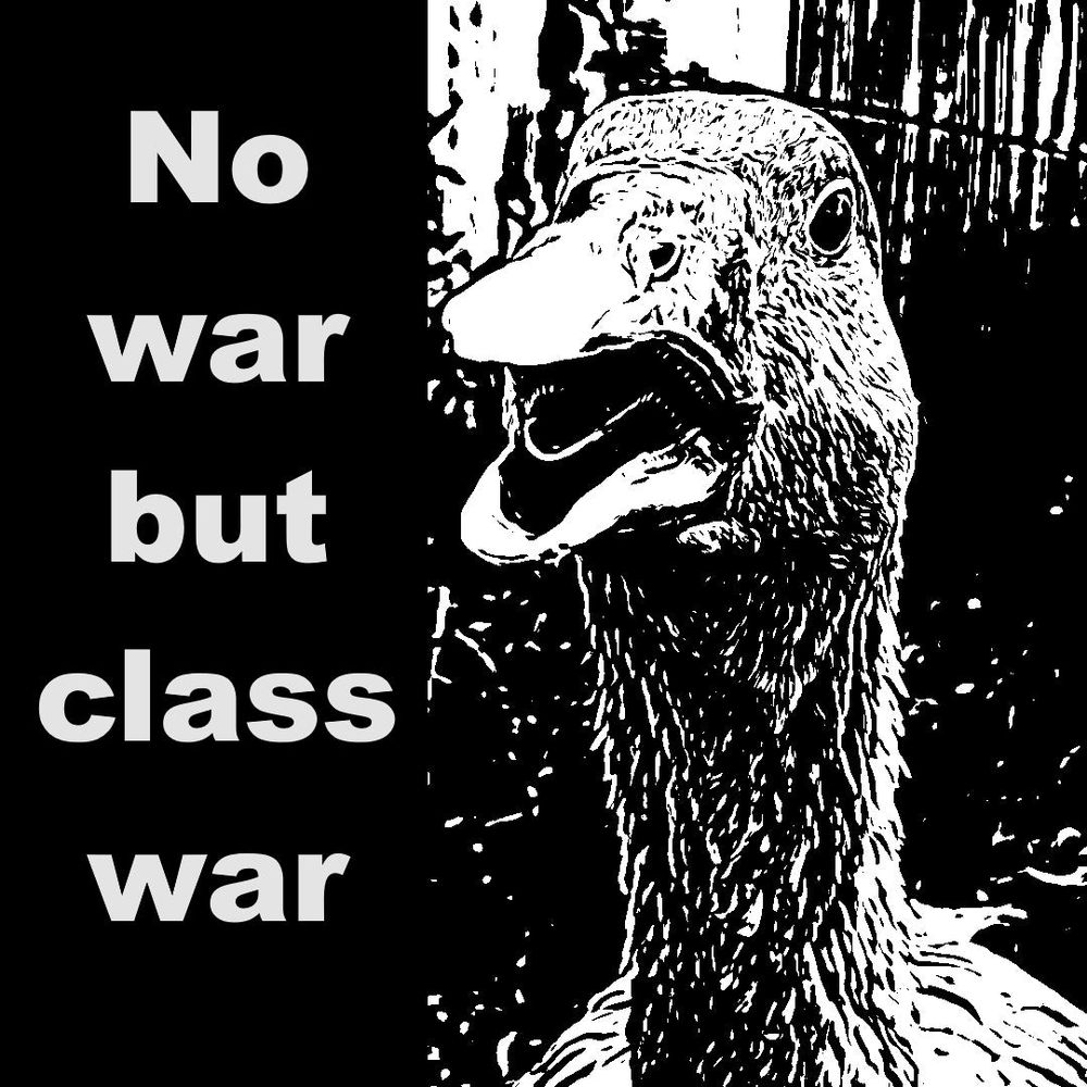 A black and white stick shows a yelling goose (or duck?) with the text "No war but class war"