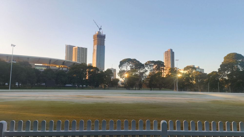 Cricket pitch at dawn