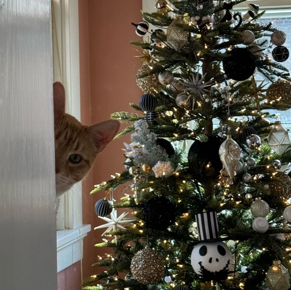an orange cat is looking at you from around the corner. a christmas tree is just behind him, totally undisturbed 