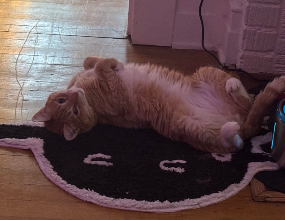 a dark picture of an orange cat on his back on a rug. he’s ready to be a little freak 