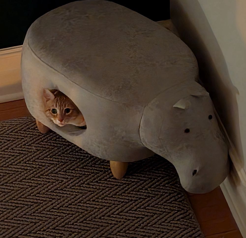 an orange cat in a semi-dark room is peeking out from a footstool that has a cat cave built into it. the foot still is shaped like a hippopotamus so he’s looking out from a hippo’s belly 