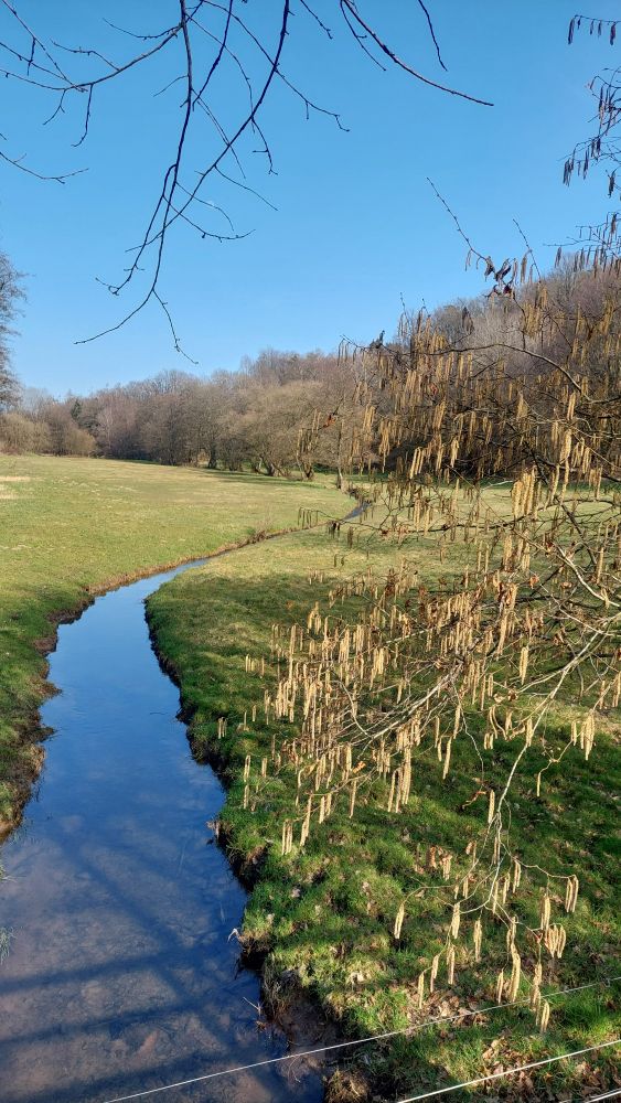 Bachlauf, der sich durch Landschaft schlängelt