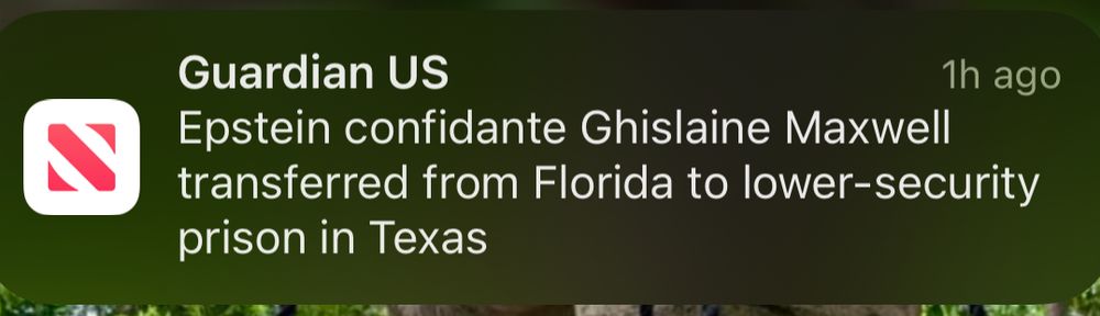 Guardian US: Epstein confidante Ghislaine Maxwell transferred from Florida to lower-security prison in Texas