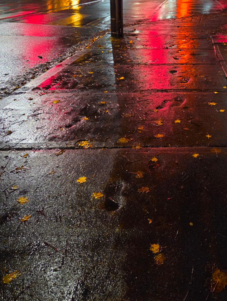 Red, orange and yellow traffic lights with white streetlights are spreading long reflections on the wet sidewalk and partial view of road with sidewalk. Scattered yellow autumn leaves are illuminated to gold on the ground. There are footprint indentations in the cement near orange and red reflections. 