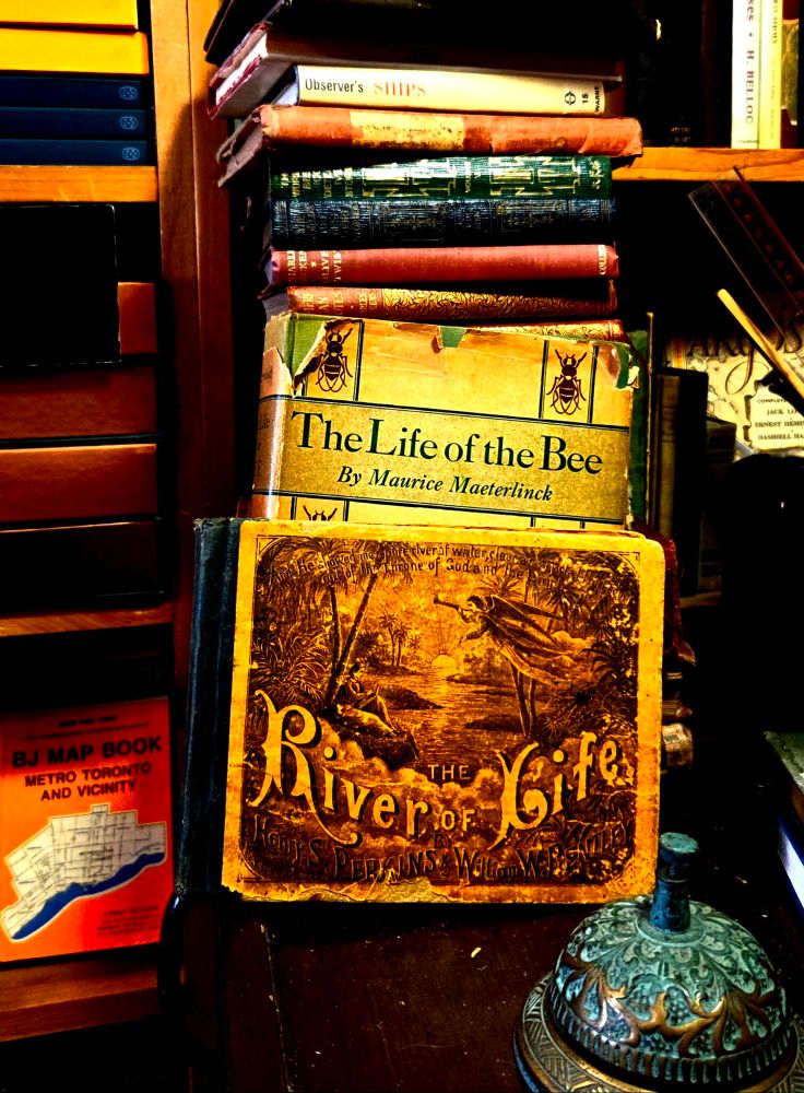 A pile of books on an old wood counter with an ornate patinaed brass bell. The books facing front are "The River of Life" By Henry S. Perkins & William W. Bentley and "The Life of the Bee" by Maurice Maeterlinck, with books stacked horizontally behind with spines facing out, Including one called "Observer's SHIPS". There's a vintage Metro Toronto and Vicinity map book on the shelf. 