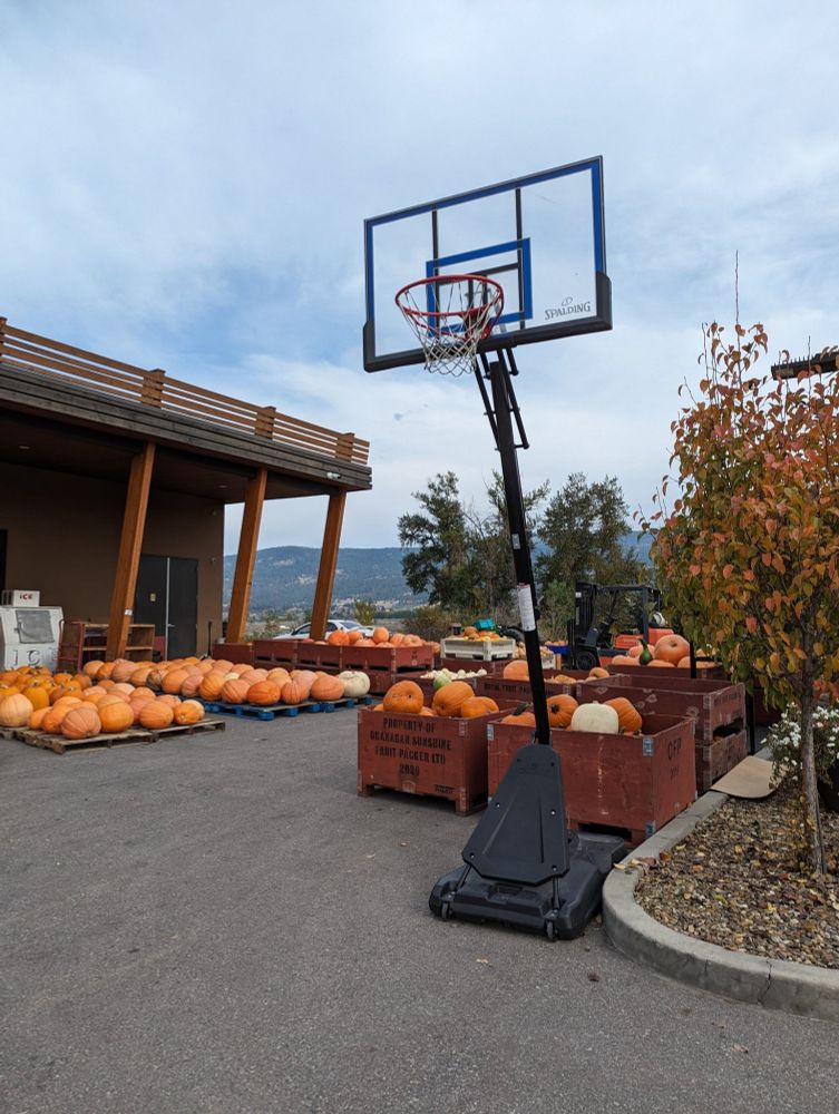 Pumpkin hoop