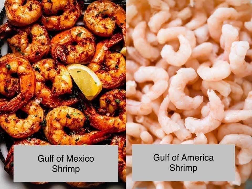 Gulf of Mexico shrimp and gulf of American shrimp and the American shrimp looks raw and busted as hell 