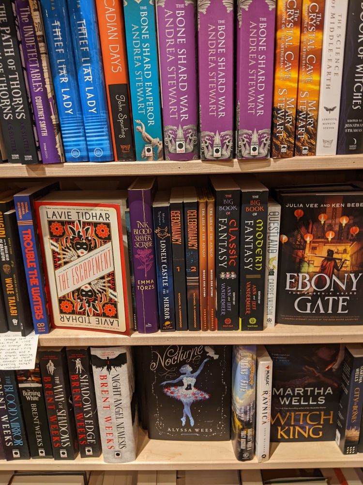 Photo of a shelf at Morgenstern's Books, with the author's books GEEKOMANCY and CELEBROMANCY at center, spine-out.