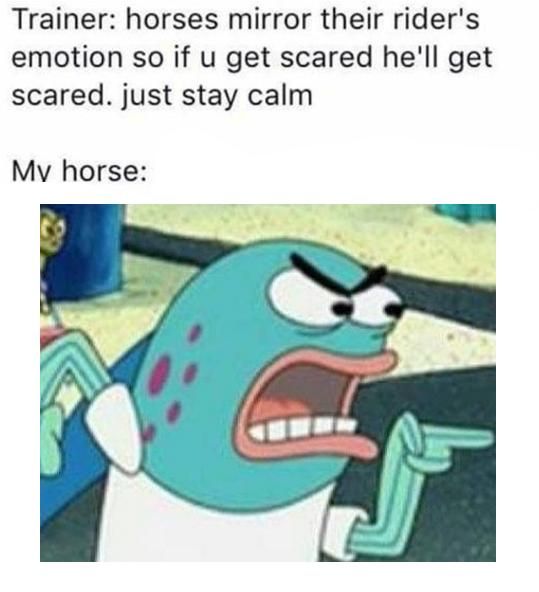 A randomly generated meme