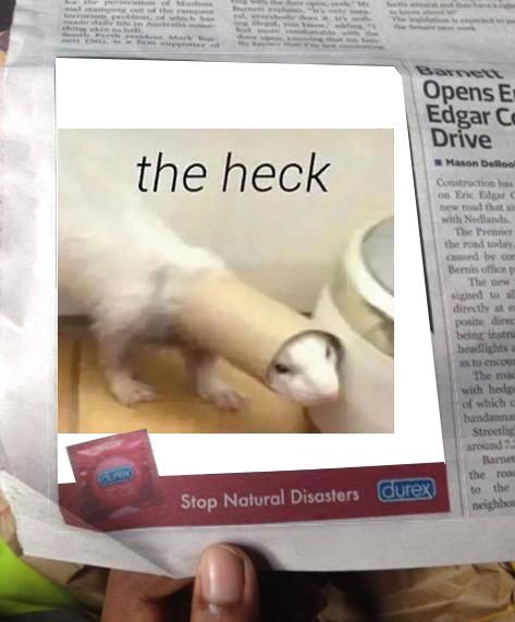 A randomly generated meme