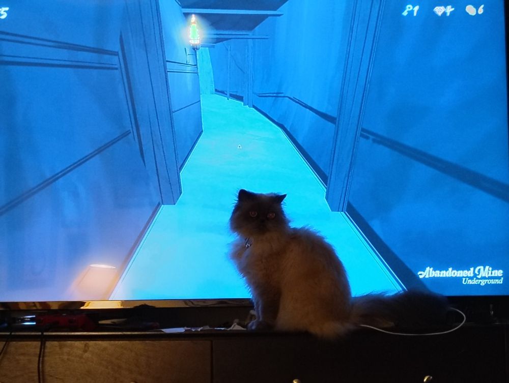Picture of my car standing in front of the TV so it looks like she's in the abandoned mine in Blue Prince the video game
