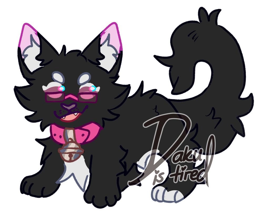 Black kitty with little glasses
