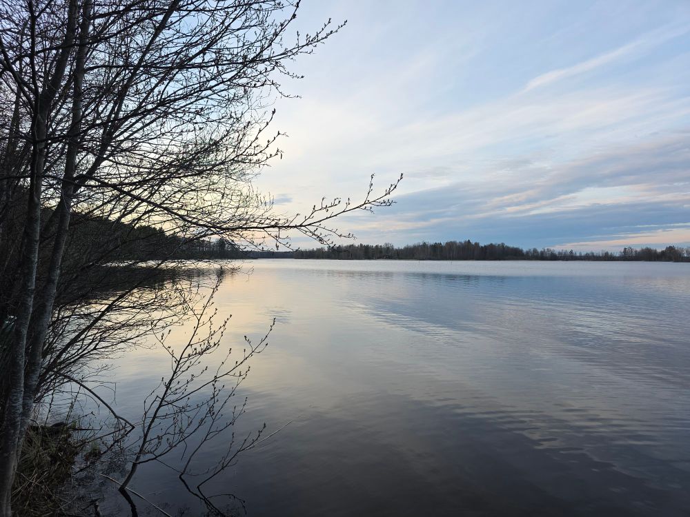 Beginning of a sunset over calm water. Two thin trees up close in the left of the frame. Treeline running horizontally, beginning close on the left of the frame, half-circling and ending far on the right side of the frame. Early spring, nothing is blooming yet. Thin clouds stretch over the far side of the sky. Light-orange sunlight weakly illuminates the left part of the sky.