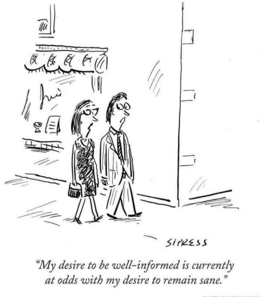 New Yorker style cartoon. DeFemale and male couple in business suits walking in city past stylish shop. The Female says "My desire to be well-informed is currently at odds with my desire to be a remain sane." 
