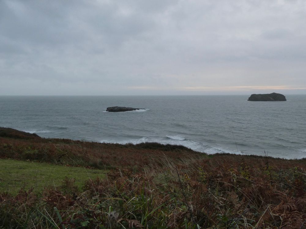 If I had a better camera, you'd be able to see the HORDES of birds passing out there...