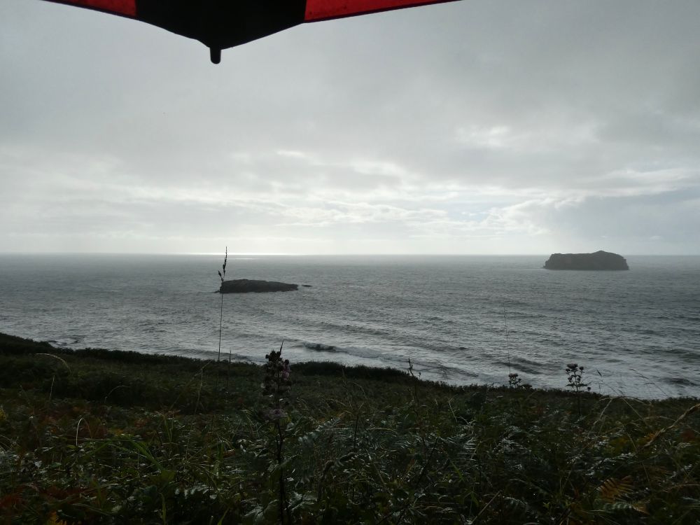 Getting rained on hard.. Woohoo!!
{Seawatchers see the world differently from normies ;) }