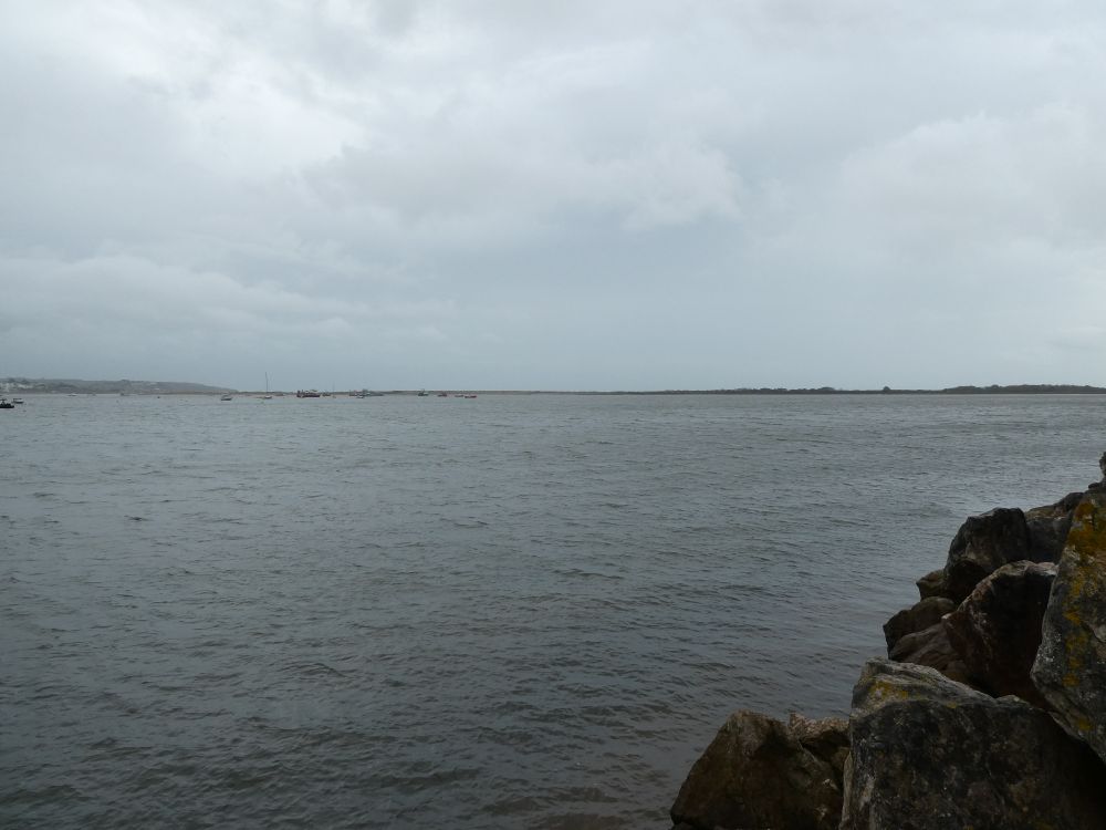 Looking towards Dawlish Warren from Cockwood Crossing. If I had a better camera, you could see all the birds in this photo. And the rain. Definitely the rain.