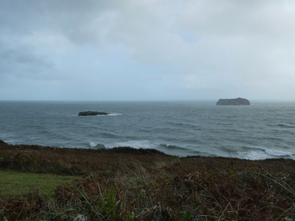 I'd been waiting for a forecast band of heavy squally showers for almost two hours. Here is what we got arriving. It lasted maybe 5 minutes. I didn't even think about my brolly...