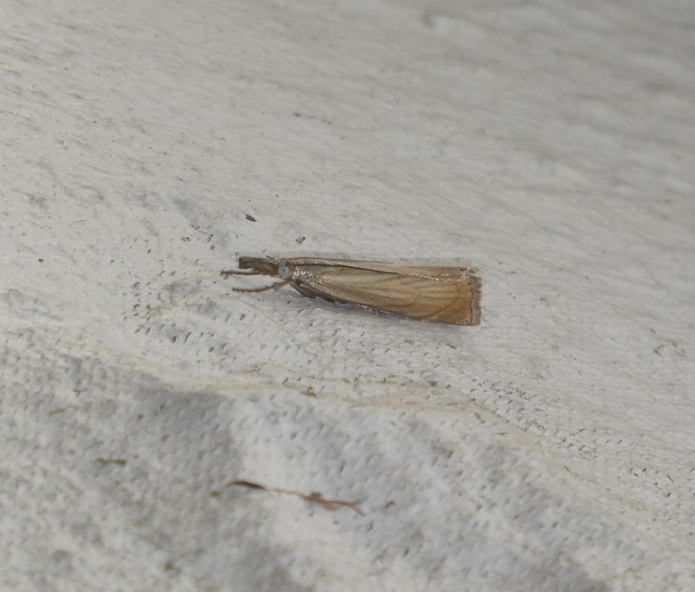 The camera shake is from fear at my proximty to this fearsome creature.