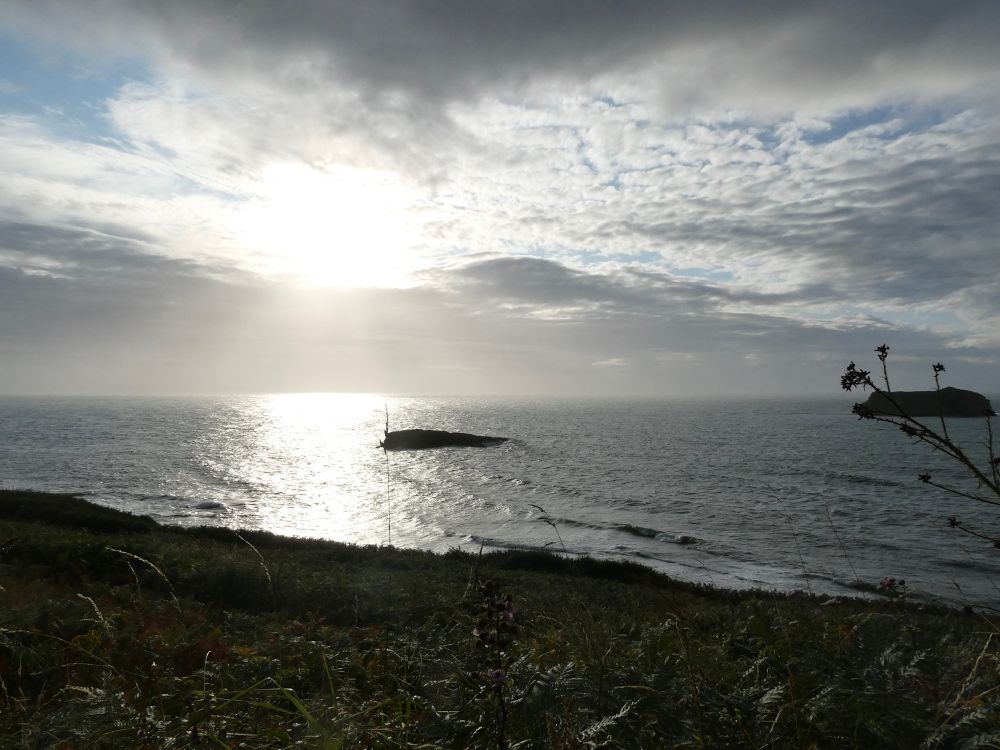 Not exactly promising seawatching weather...