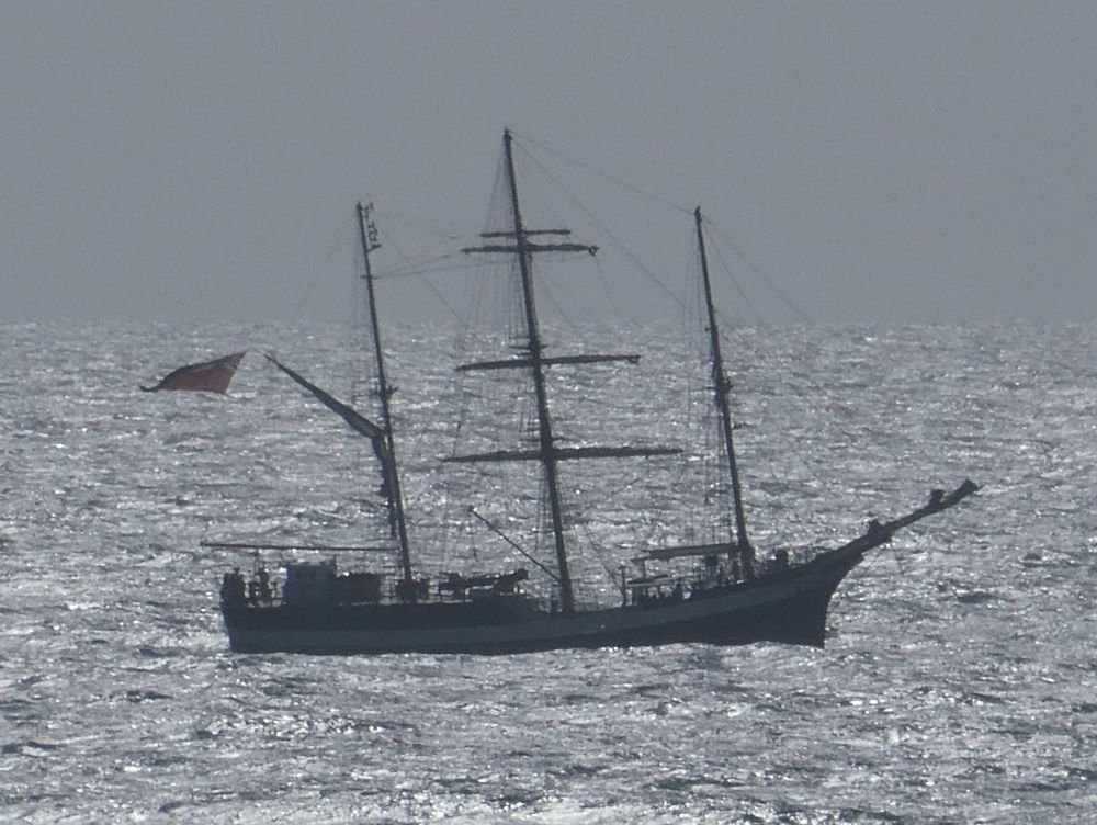 "Hoo-ray and up she rises!"

'Pelican of London', a mainmast barquentine {Proper barquentines have the foremast square-rigged, barques have fore- and main- square-rigged. Now you know}, converted from a former Arctic trawler and now a sail training vessel, her interesting arrangement allows her better into the wind performance. 
I believe she's still in Plymouth at the mo'.