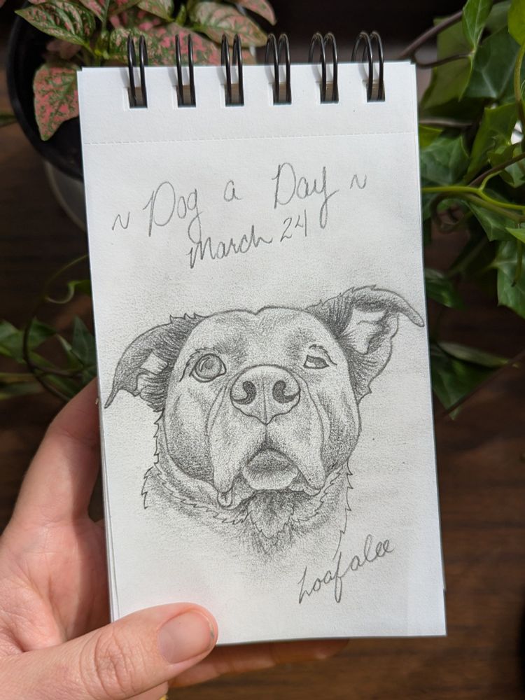 A pencil portrait of a mixed breed dog looking upwards. The dog has a large nose, droopy lips, fluffy neck rolls, and perky pitbull shaped ears. The text "Dog a Day March 20" is above and "Loafalee" is signed below.